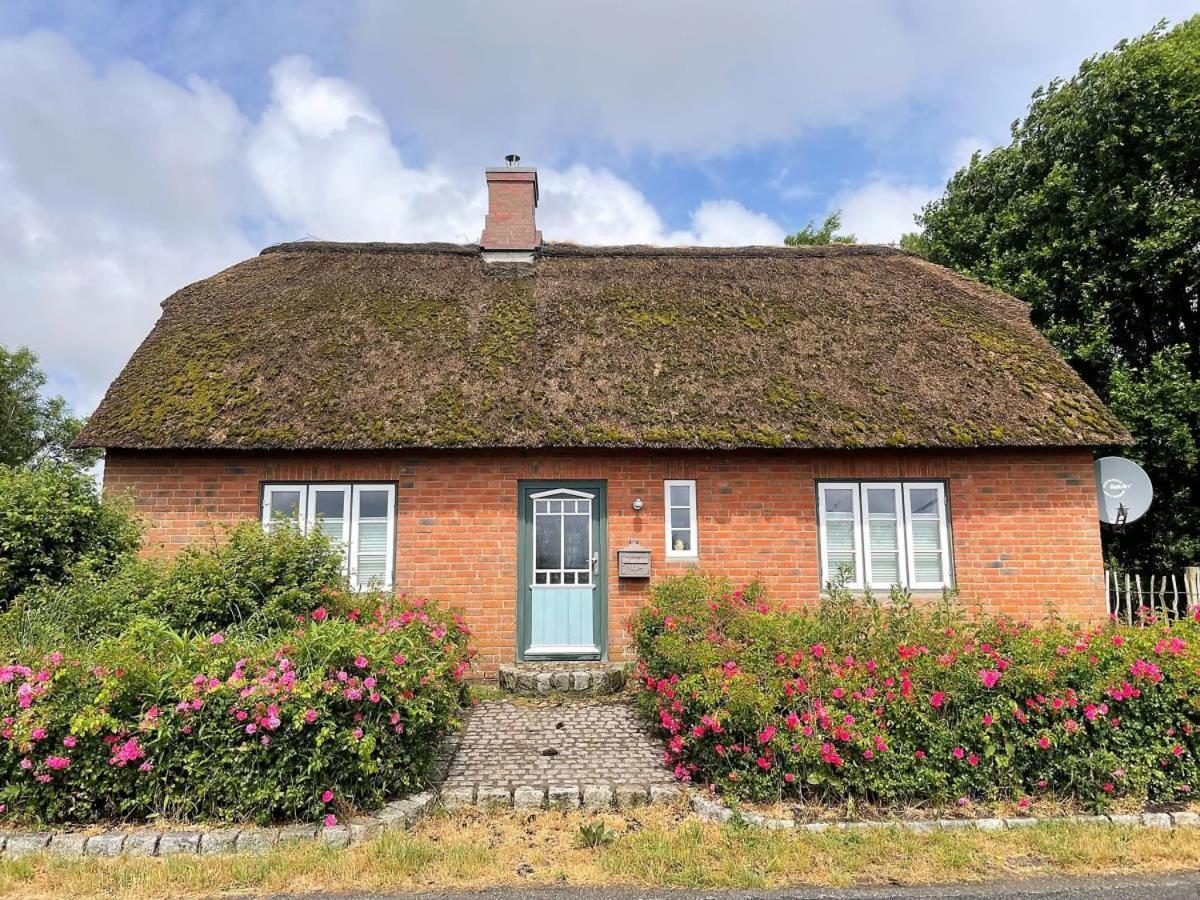 Das Puppenhaus, Reetdach, Sauna, Kamin, Eingezaeunt, Badewanne, Haustiere Willkommen Emmelsbull-Horsbull Luaran gambar