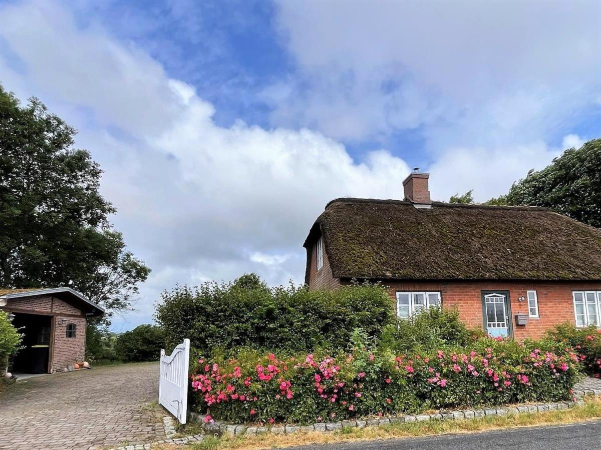 Das Puppenhaus, Reetdach, Sauna, Kamin, Eingezaeunt, Badewanne, Haustiere Willkommen Emmelsbull-Horsbull Luaran gambar